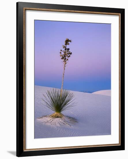 Yucca on Dunes at Dusk, Heart of the Dunes, White Sands National Monument, New Mexico, USA-Scott T^ Smith-Framed Photographic Print