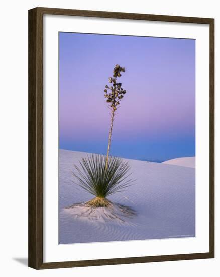 Yucca on Dunes at Dusk, Heart of the Dunes, White Sands National Monument, New Mexico, USA-Scott T^ Smith-Framed Photographic Print