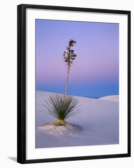 Yucca on Dunes at Dusk, Heart of the Dunes, White Sands National Monument, New Mexico, USA-Scott T^ Smith-Framed Photographic Print