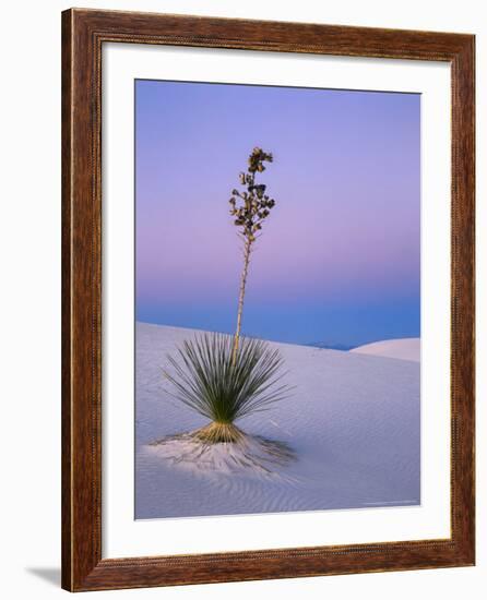 Yucca on Dunes at Dusk, Heart of the Dunes, White Sands National Monument, New Mexico, USA-Scott T^ Smith-Framed Photographic Print