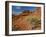 Yucca on Red Soil in Canyon Lands on Northern Wyoming, Usa-Larry Ditto-Framed Photographic Print