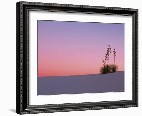 Yucca Plant, White Sands, New Mexico, USA-Dee Ann Pederson-Framed Photographic Print