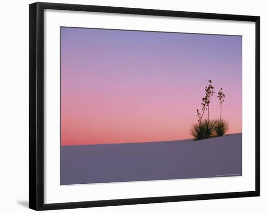 Yucca Plant, White Sands, New Mexico, USA-Dee Ann Pederson-Framed Photographic Print