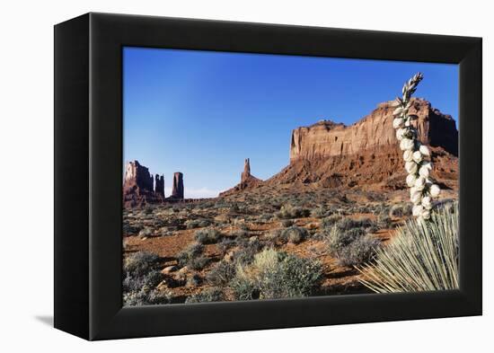 Yucca Plant with Sandstone Monument, Monument Valley Tribal Park, Arizona, USA-Paul Souders-Framed Premier Image Canvas