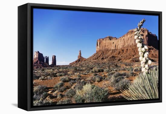 Yucca Plant with Sandstone Monument, Monument Valley Tribal Park, Arizona, USA-Paul Souders-Framed Premier Image Canvas