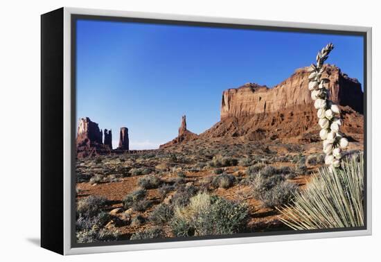 Yucca Plant with Sandstone Monument, Monument Valley Tribal Park, Arizona, USA-Paul Souders-Framed Premier Image Canvas