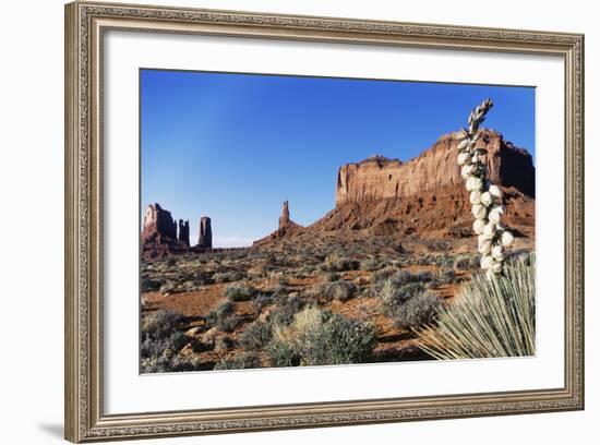 Yucca Plant with Sandstone Monument, Monument Valley Tribal Park, Arizona, USA-Paul Souders-Framed Photographic Print