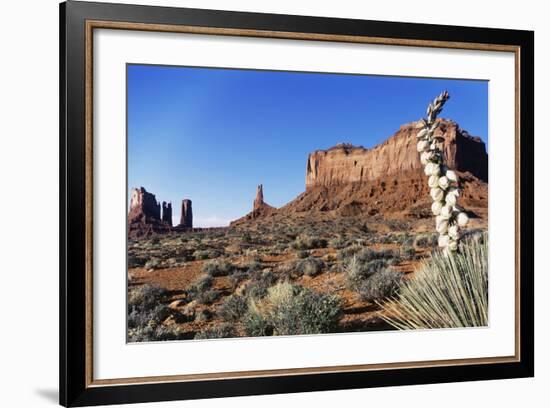 Yucca Plant with Sandstone Monument, Monument Valley Tribal Park, Arizona, USA-Paul Souders-Framed Photographic Print