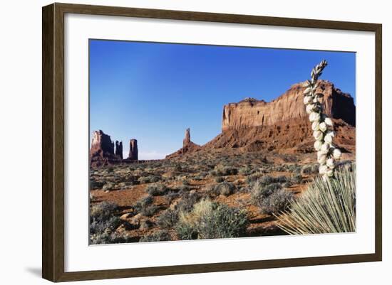 Yucca Plant with Sandstone Monument, Monument Valley Tribal Park, Arizona, USA-Paul Souders-Framed Photographic Print