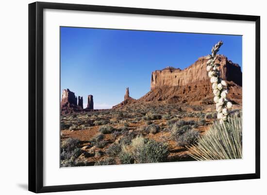 Yucca Plant with Sandstone Monument, Monument Valley Tribal Park, Arizona, USA-Paul Souders-Framed Photographic Print