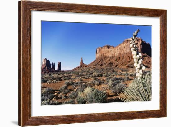 Yucca Plant with Sandstone Monument, Monument Valley Tribal Park, Arizona, USA-Paul Souders-Framed Photographic Print