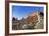 Yucca Plant with Sandstone Monument, Monument Valley Tribal Park, Arizona, USA-Paul Souders-Framed Photographic Print