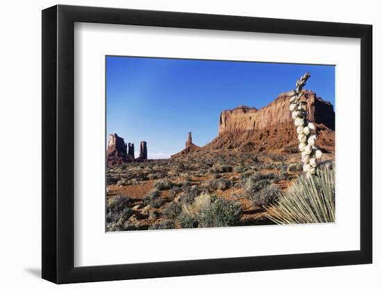 Yucca Plant with Sandstone Monument, Monument Valley Tribal Park, Arizona, USA-Paul Souders-Framed Photographic Print