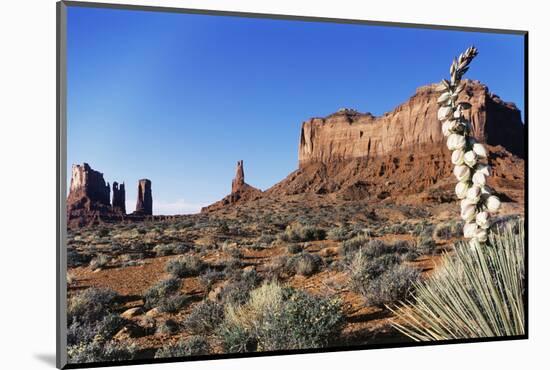 Yucca Plant with Sandstone Monument, Monument Valley Tribal Park, Arizona, USA-Paul Souders-Mounted Photographic Print