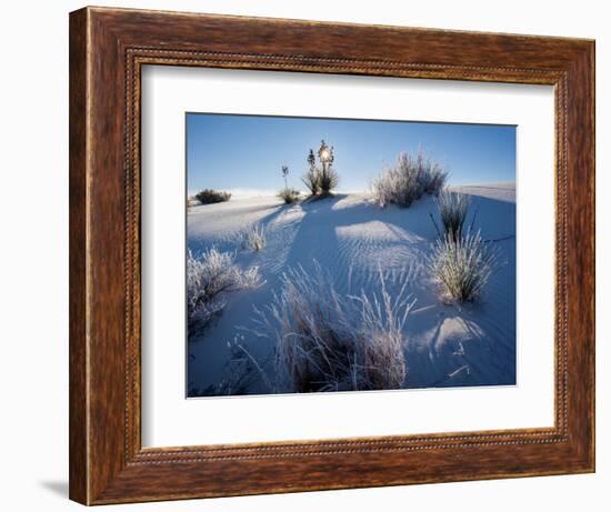 Yucca plants in desert, White Sands National Monument, New Mexico, USA-Panoramic Images-Framed Photographic Print