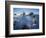 Yucca plants in desert, White Sands National Monument, New Mexico, USA-Panoramic Images-Framed Photographic Print