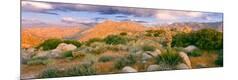 Photographic Print