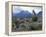 Yuccas Below Snow Covered Cliffs & Clearing Winter Storm, Red Rock Canyon, Nevada, USA-Scott T. Smith-Framed Premier Image Canvas