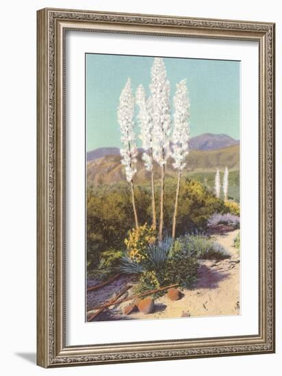 Yuccas in Bloom-null-Framed Premium Giclee Print