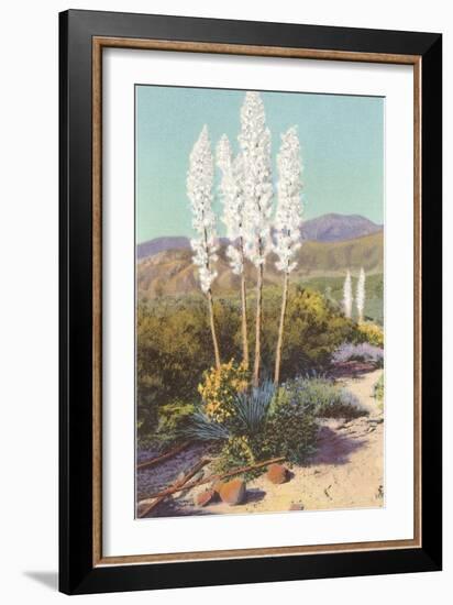 Yuccas in Bloom-null-Framed Premium Giclee Print