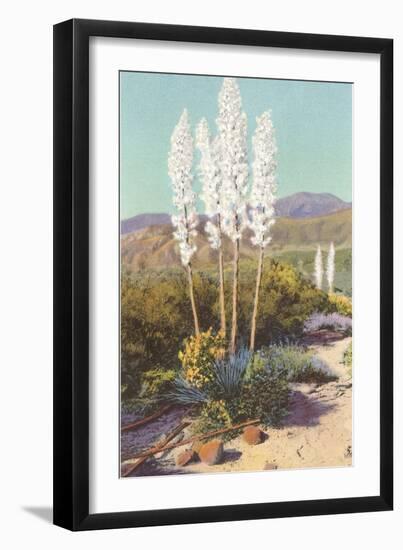 Yuccas in Bloom-null-Framed Premium Giclee Print