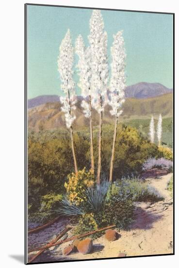 Yuccas in Bloom-null-Mounted Art Print