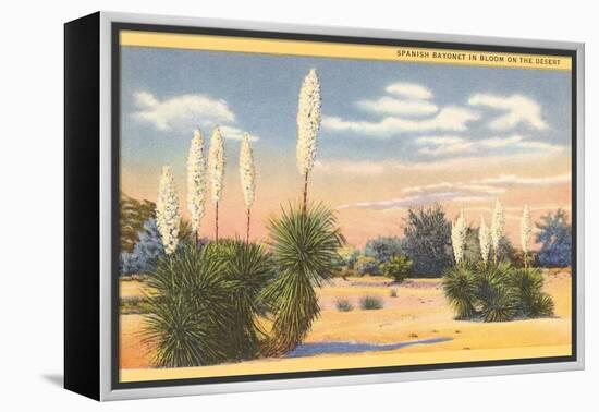 Yuccas, Spanish Bayonet in Desert-null-Framed Stretched Canvas