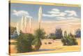 Stretched Canvas Print