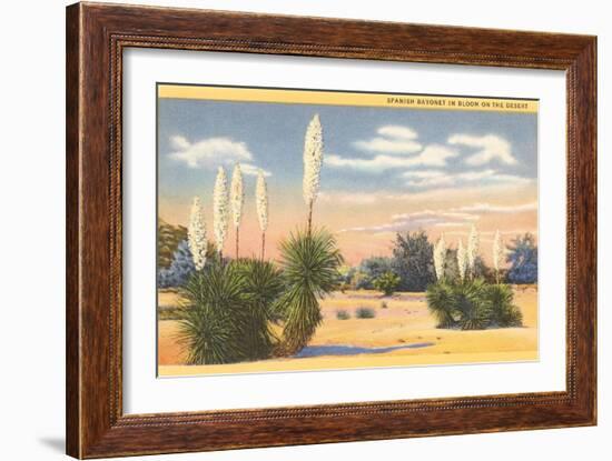 Yuccas, Spanish Bayonet in Desert-null-Framed Art Print