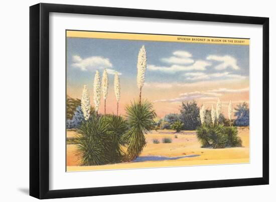 Yuccas, Spanish Bayonet in Desert-null-Framed Art Print