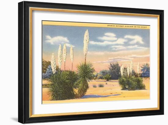 Yuccas, Spanish Bayonet in Desert-null-Framed Art Print