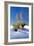 Yuccas & White Sand I-Douglas Taylor-Framed Photographic Print