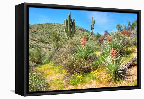 Yuccas-Anton Foltin-Framed Premier Image Canvas