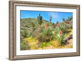 Yuccas-Anton Foltin-Framed Photographic Print