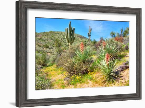 Yuccas-Anton Foltin-Framed Photographic Print