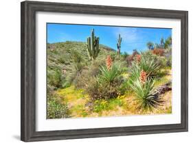 Yuccas-Anton Foltin-Framed Photographic Print