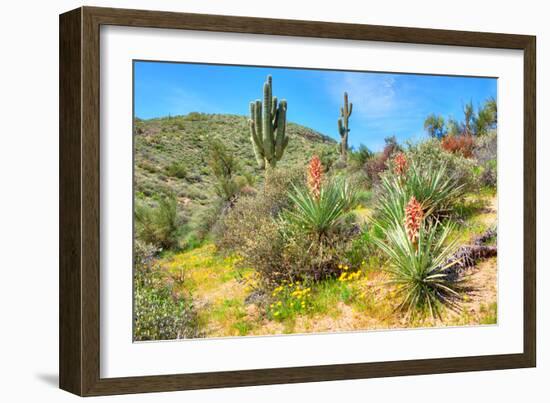Yuccas-Anton Foltin-Framed Photographic Print