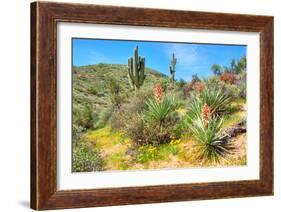 Yuccas-Anton Foltin-Framed Photographic Print