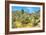 Yuccas-Anton Foltin-Framed Photographic Print