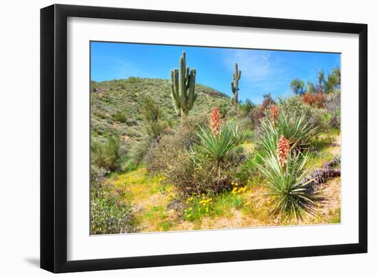 Yuccas-Anton Foltin-Framed Photographic Print