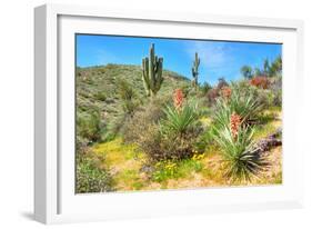 Yuccas-Anton Foltin-Framed Photographic Print