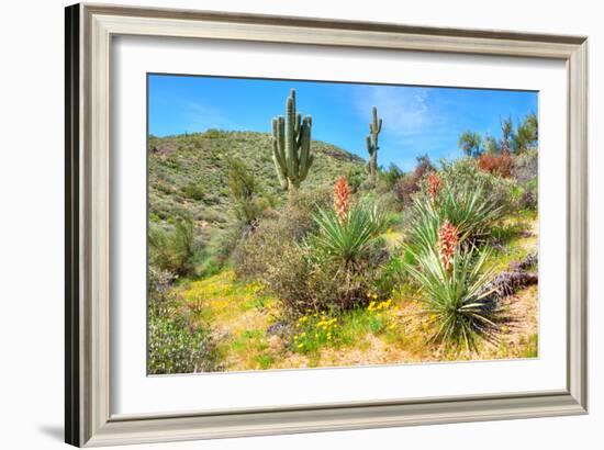 Yuccas-Anton Foltin-Framed Photographic Print