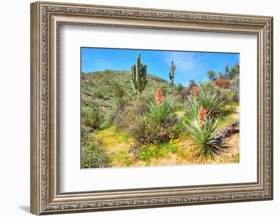 Yuccas-Anton Foltin-Framed Photographic Print