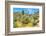 Yuccas-Anton Foltin-Framed Photographic Print