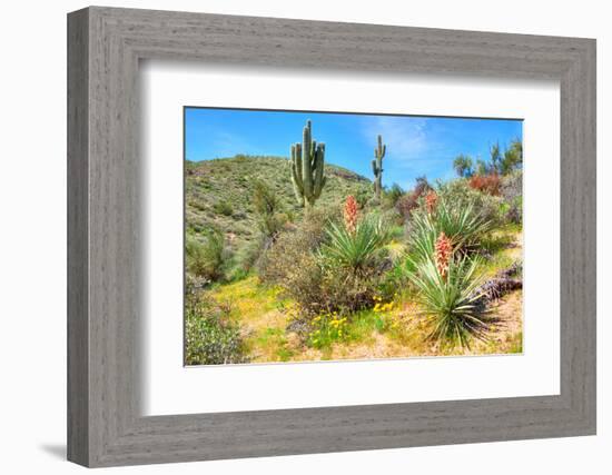 Yuccas-Anton Foltin-Framed Photographic Print