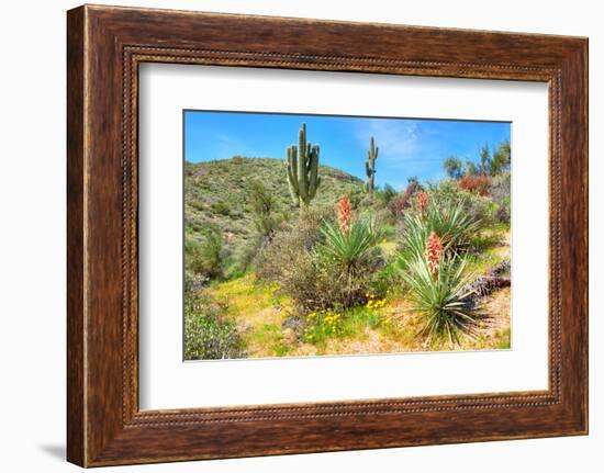 Yuccas-Anton Foltin-Framed Photographic Print