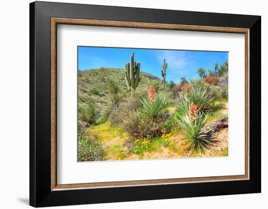 Yuccas-Anton Foltin-Framed Photographic Print