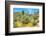 Yuccas-Anton Foltin-Framed Photographic Print