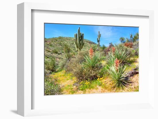 Yuccas-Anton Foltin-Framed Photographic Print