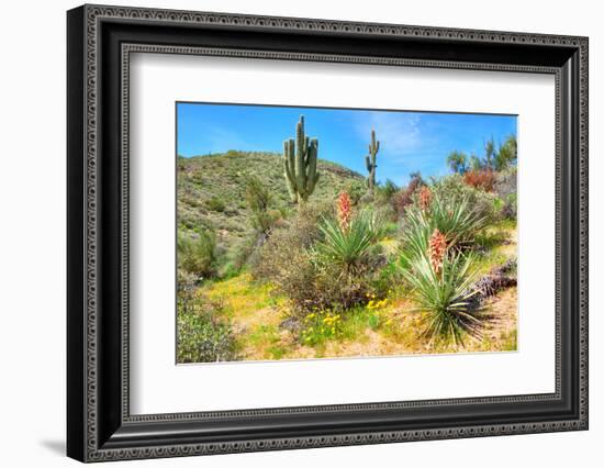 Yuccas-Anton Foltin-Framed Photographic Print